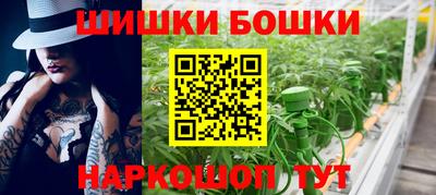 индика Чебаркуль